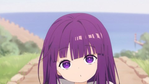 Baby Fern grows up so quickly [Frieren Animation]