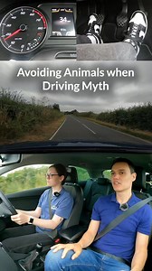 169K views · 1K reactions | Avoiding animals driving myth. #learningtodrive | Conquer Driving | Facebook