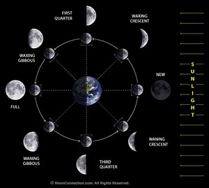 Moon Phases/Eclipses