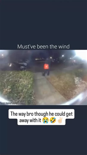 Nova | The video starts off completely normal: a delivery driver carefully places the customer’s food right next to the front door, steps back,... | Instagram