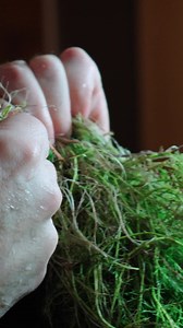 134K views · 1.6K reactions | Aquarium ASMRs should be a must on...