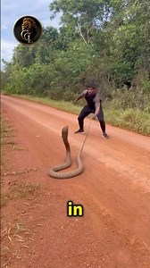 This Snake Isn't What You Think It Is #wildlife #facts