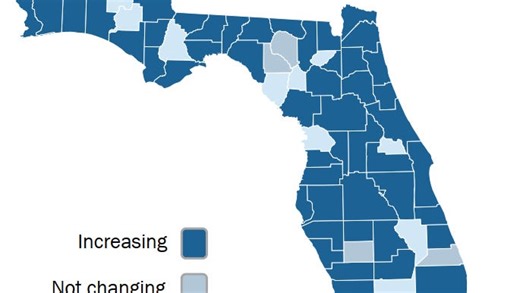 Flu cases increase across Florida, US. How to tell if it's cold or flu