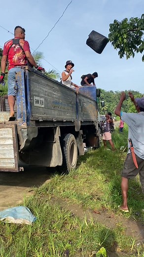 PHP.56 NA ANG PER KILO NG GOMA! BALI-BALITA DIN NA LALO PA ITONG TATAAS SA MGA SUSUNOD NA BUWAN😱😍🙏🏻❤️ #rubber #business #goma #farming #rubbertree