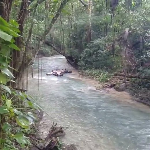 River Tubing Adventure | Royal Tours Vacations