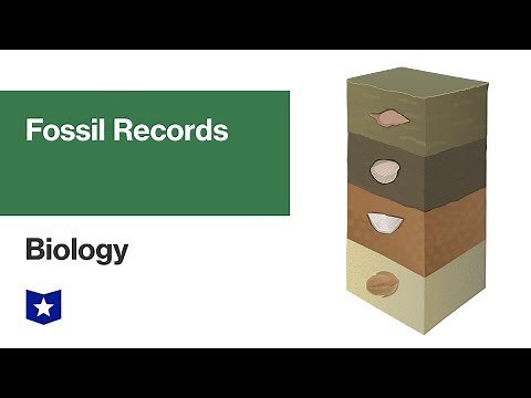 Fossil Records | Biology