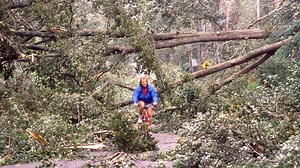 Hurricane Bob: 6 ways Cape Cod is more prepared than in 1991. But what if it is worse?