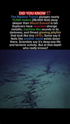 Secrets of the Mariana Trench 🌊👽 ⁉️🙀 #shorts