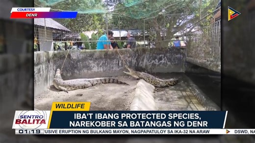 #SentroBalitaWeekend | Iba't ibang protected species, narekober sa Batangas ng DENR | PTV
