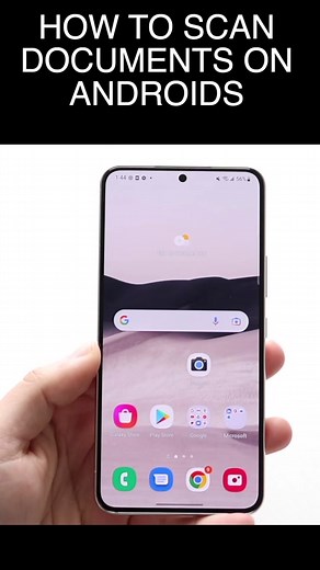 Simple Alpaca on TikTok