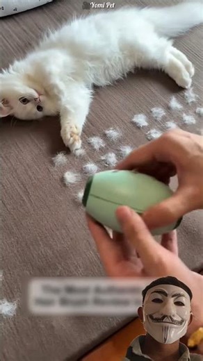 A special device was demanded for cleaningcat hair #shortsvideo