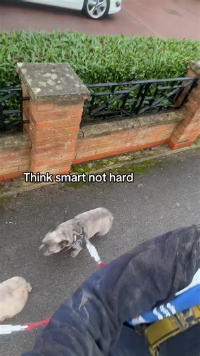 Funny Scaffolding Moments That Will Make You Laugh