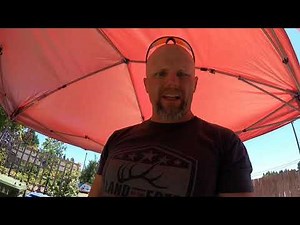 Demoing and Salvaging Brick