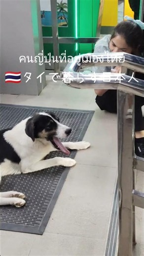 🇹🇭タイのコンビニで良く見かける光景【タオ島】