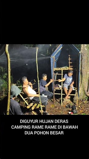 diguyur hujan deras camping rame rame dibawah dua pohon besar, relaxing rain sound