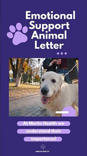 What does a doctor's emotional support animal letter actually include?