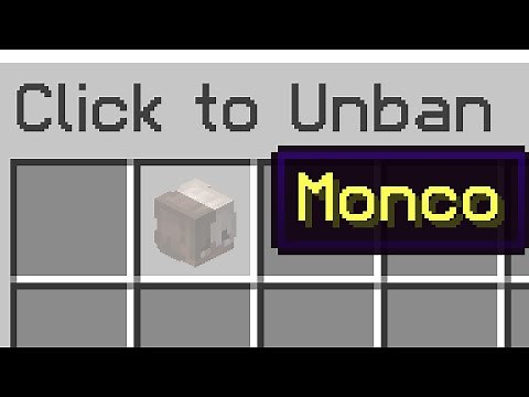 The First Revival on Bliss SMP