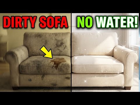 The SHOCKING Truth About Cleaning Sofas Without Water