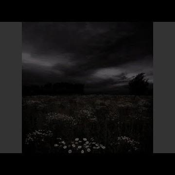 washing machine heart (slowed)