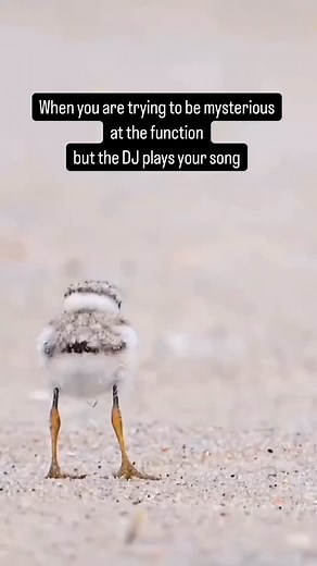 24K views · 97 reactions | Now you’re ticking away… | Chop Daily | Facebook