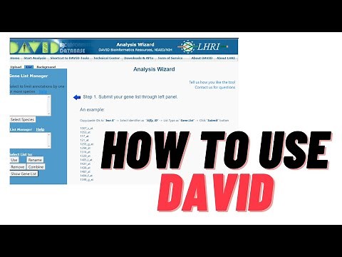 David for GO Enrichment Analysis | SALMAN AKBAR