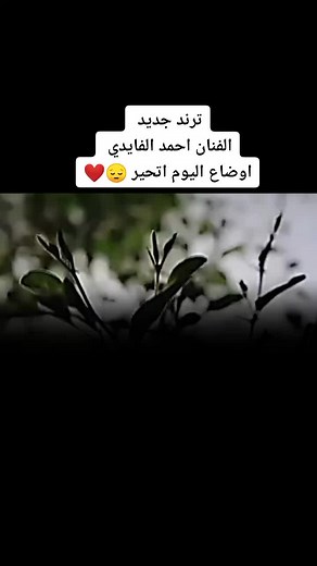 سہيہطہره آل عہسہكہري على TikTok