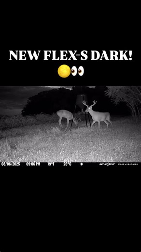 Florida Boy Outfitters LLC on Instagram: "The new FLEX-S DARK from @spypointcamera has been extremely impressive! Battery life, clarity, picture quality and video quality have all been great! 🤘🏻🦌 ———————————————————————— #outdoors #florida #reels #reels #youtube #living #life #floridalife #hunting #deer #georgia #bowhunting #obsessionbows #rekbroadheads #rackgetterscentsandlures #spypoint #whyispypoint #floridaboyoutfitters"