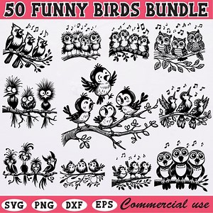 Funny Singing Birds SVG Bundle: Cartoon Clipart Designs (commercial Use) - Etsy
