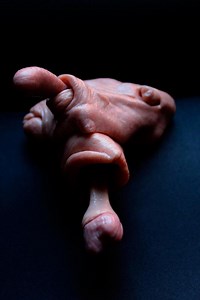 Meat: Strange, disturbing and grotesque sculptures of flesh and bone