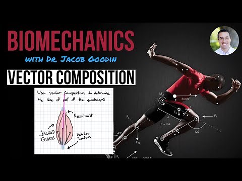 Simple Vector Composition for Biomechanics (jacked quads example)