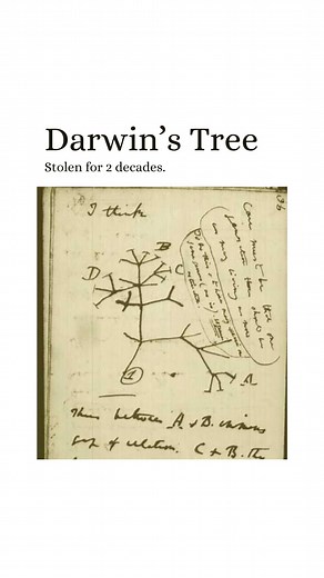 Collectors pay premiums for original Darwin because his earliest works are not just books, they are the foundation stones of modern science. Every imprint is a trace of the process that led to On the Origin of Species, and owning one means holding a piece of that revolution. If you’ve been looking to own a piece of it yourself, we are offering the first collected edition of Darwin’s earliest scientific publications, printed in 1838 in the Proceedings of the Geological Society of London. This vol