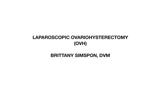 OVARIOHYSTERECTOMY PROCEDURE (OVH)
