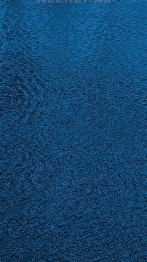 New week, new finds! See what's trending in-store this week. 🔥🛍️ #ReadyWithBig5 #WeeklyDeal #Sale | Big 5 Sporting Goods