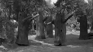 F Troop S01E03 9-28-1965- The Phantom Major DVDRip
