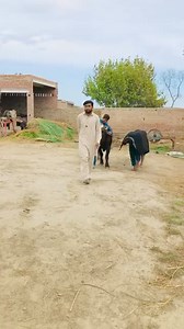 Full funny 😁 #japan | Funny joke