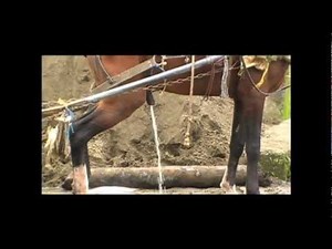 THE PLEASURE OF A PEE