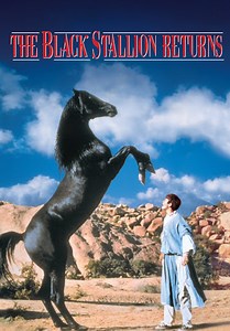 The Black Stallion Returns
