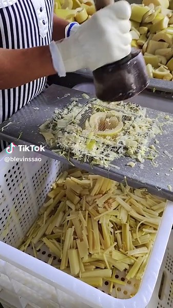 Apple Slicing Techniques in Food Processing