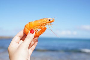 Is Shrimp Poop Safe to Eat?