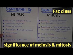 significance of mitosis | Class 12 Biology