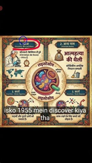 Lysosome - Discovery, Year , another name, characteristics and it's function #lysosome #lysogeny