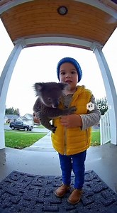 Teddy bear | Homemade & Heart recipes