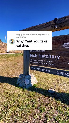 Replying to @sml.bursta.capybara When you find a Geocache, sign the log, exchange swag (optional), then hide the cache back for the next player to find! If you take the cache, the next players looking for it won’t be able to find it and the cache owner will need to replace the cache altogether! #MissingCache #Geocache #Geocaching #CacheMeIfYouCan #Cache #Geocaches #Caches #Geocacher #Hullsome #Fish #FishHatchery #Fishing #JacksonHole #Jackson #Wyoming #SkiResort