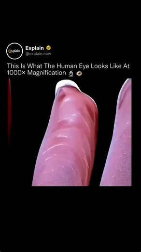 Memes on Instagram: "At 1000× zoom, the human eye stops looking human and starts looking alien. 🤯🧬 This extreme close-up reveals the microscopic landscape of the human eye, where ridges, fibers, and textures emerge that are completely invisible to the naked eye. What appears smooth in everyday life is actually a complex biological surface shaped by layers of tissue, moisture, and light-responsive structures. At this scale, you’re seeing how the eye manages light absorption, reflection, and pro