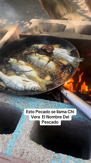 No hay más comida que echa en casita compartiendo de aquí de la isla de San Sebastián Usulután El Salvador#LIVEFEST2025 #LIVEIncentiveProgram #Dios