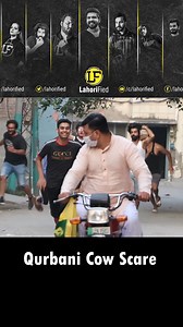 18K views · 283 reactions | Cow Scare Run Prank | LahoriFied #reelsvideo #reelsviral #reelsviral | The Daily Mix | Facebook