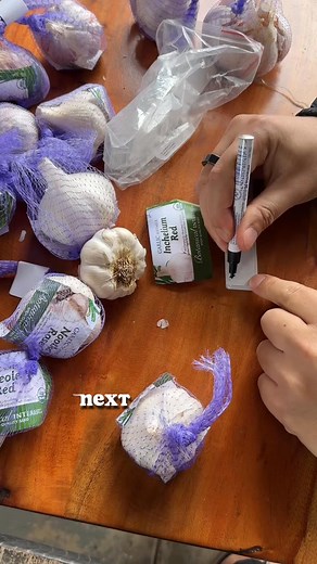 How to plant garlic, a crop that is so easy to grow at home you will question why you ever bought it at the store, especially given the different varieties you can try and the breadth of flavor you can access. #g~#foryou #foryoupage #fypシ #fyp #reels #reelsviral #reelsfb #diy #handmade #art #homedecor #n #design #craft | Garden Time Tip