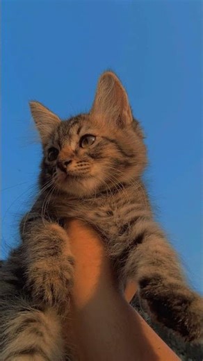 Drake one dance slowed ✨ #slowed