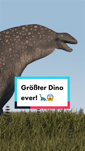 Der Blauwal: Größer und schwerer als gedacht!