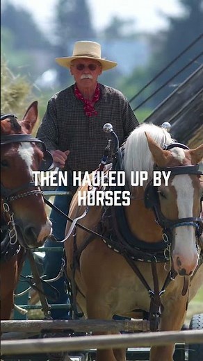 Have you heard of a beaverslide? #montana #ranching #horse #horseriding #travel #history #historical